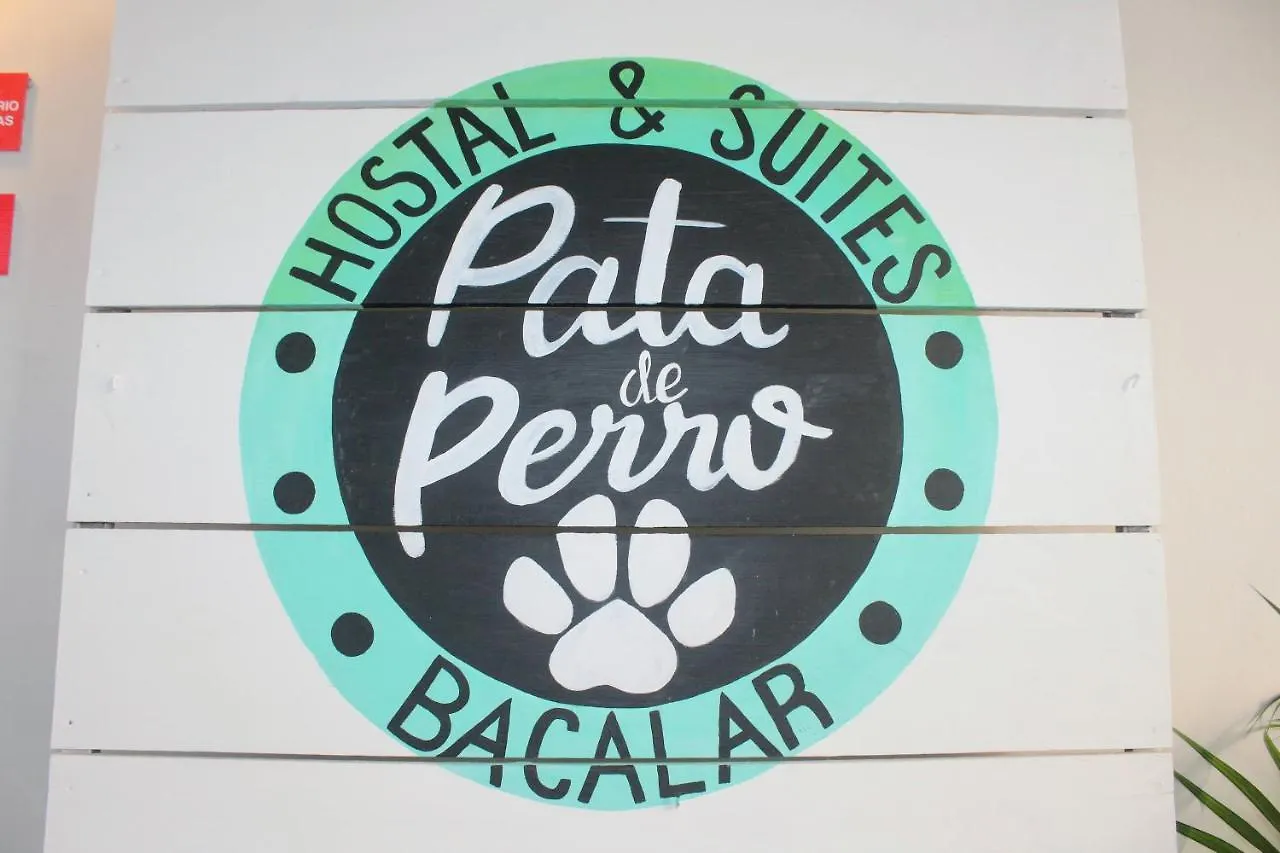 Hostal & Suites Pata De Perro Bacalar Hostel
