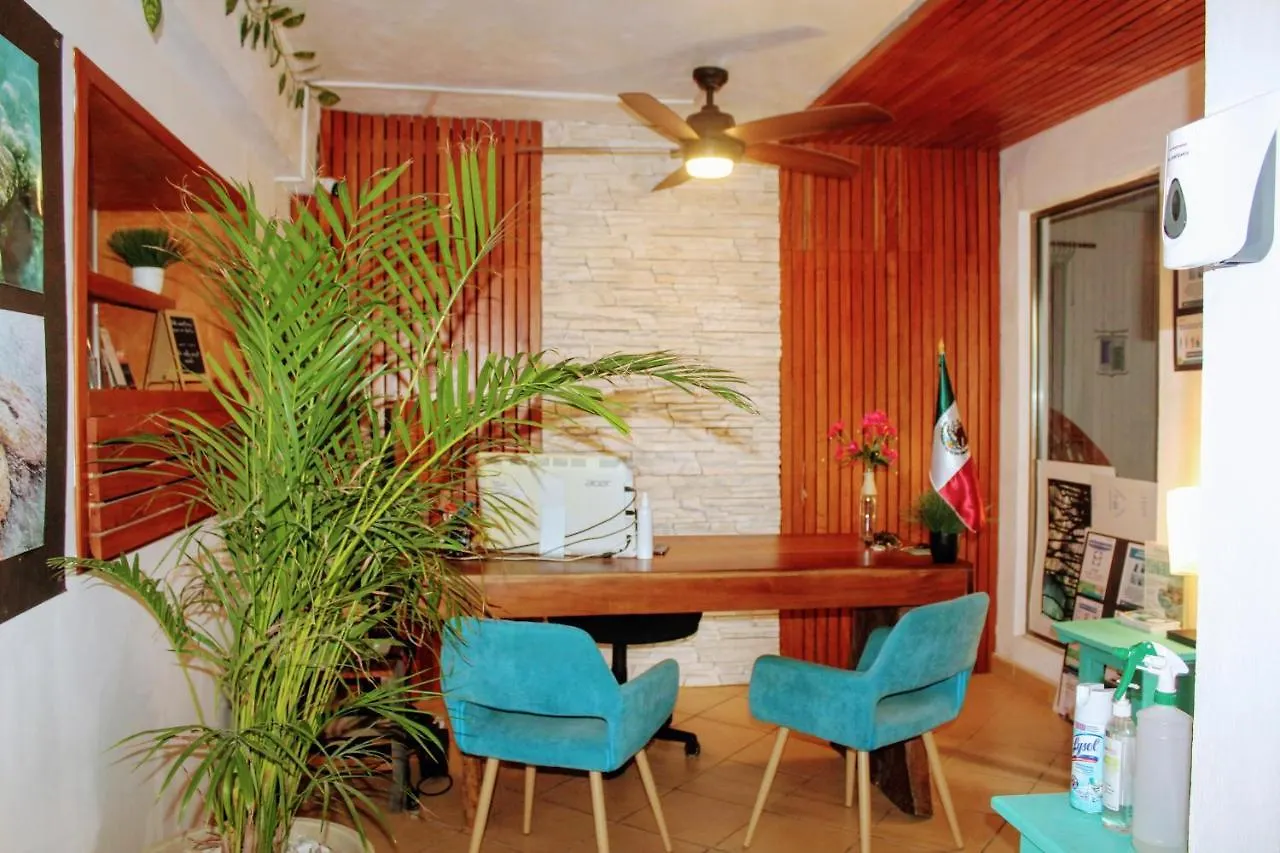 Hostal & Suites Pata De Perro Bacalar Mexico