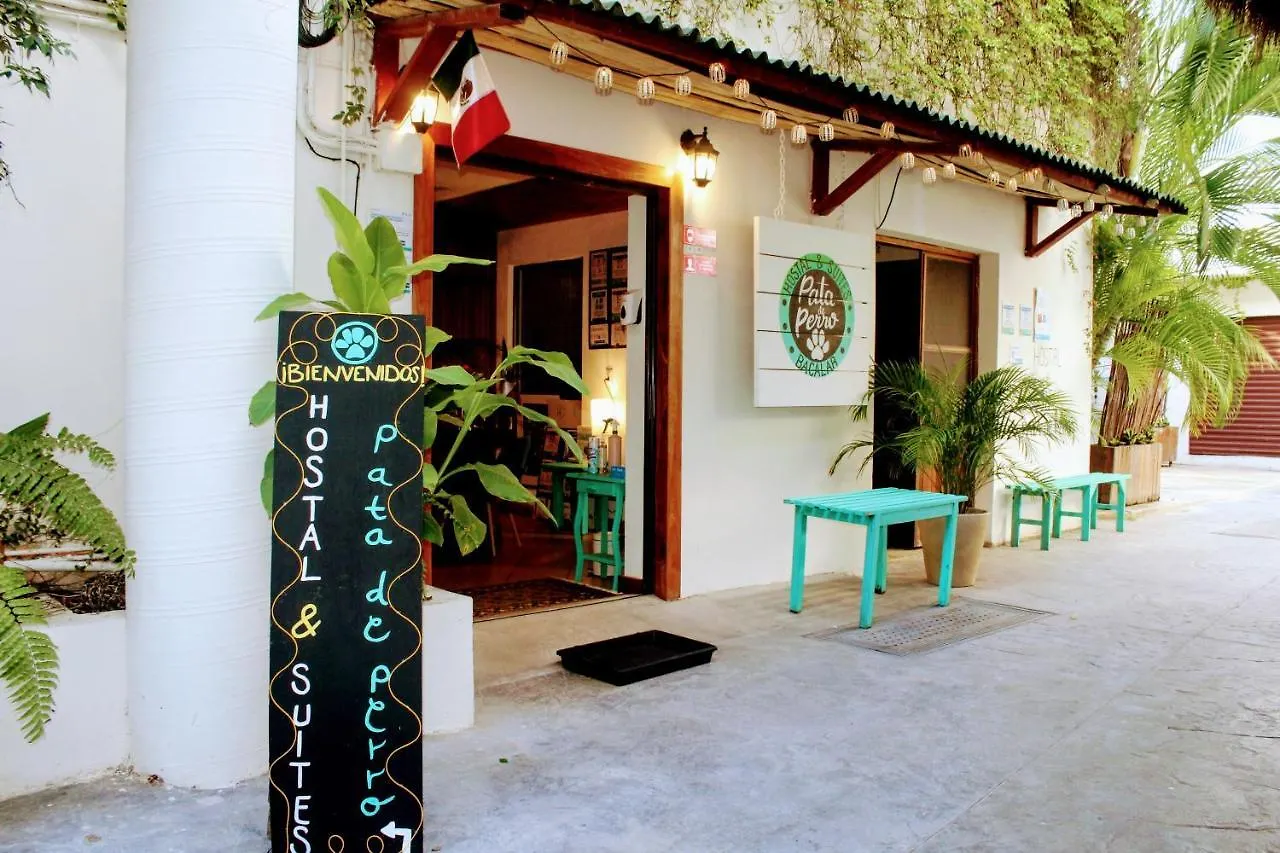 Hostal & Suites Pata De Perro Bacalar